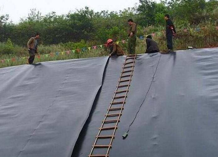 为什么说施工中越来越倾向于选择钠基最新91视频观看呢