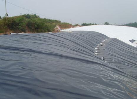 91视频直播APP膜铺设过程的质量控制