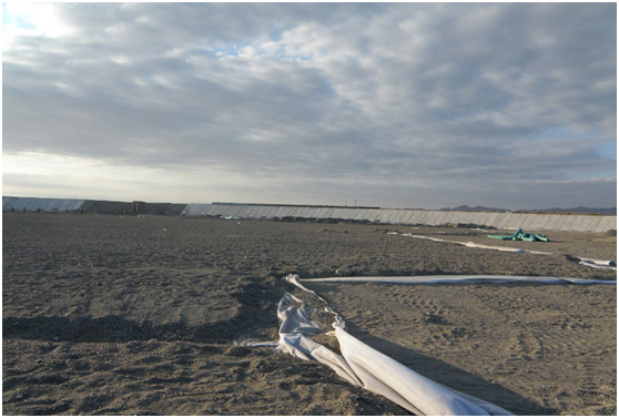 理解设计意图91视频直播APP膜施工采取创造性措施