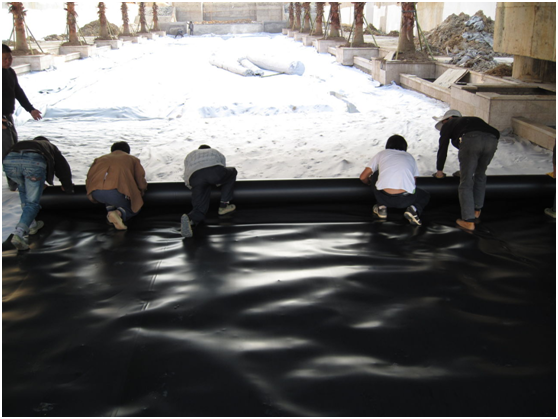 蓄水池结冰后91视频直播APP膜的变形及应力分布情况