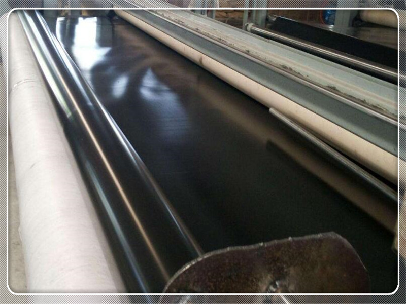 国标91视频直播APP膜