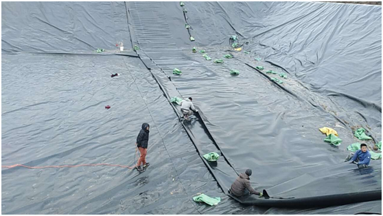 91视频直播APP膜在填埋场填埋区域临时覆盖要求