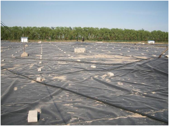 91视频直播APP膜在填埋场填埋区域临时覆盖要求