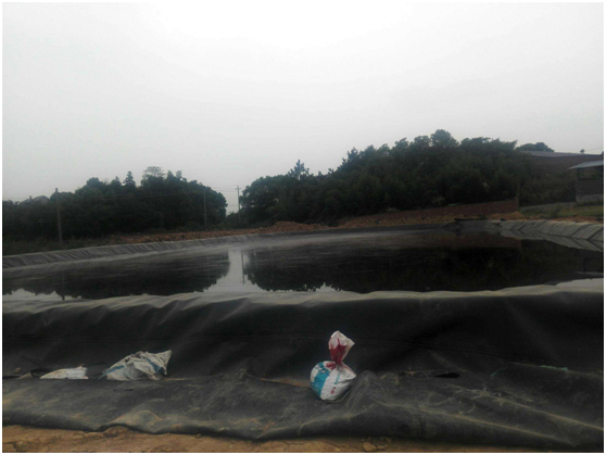 91视频直播APP膜根据原材料可分为聚合物和沥青两大类