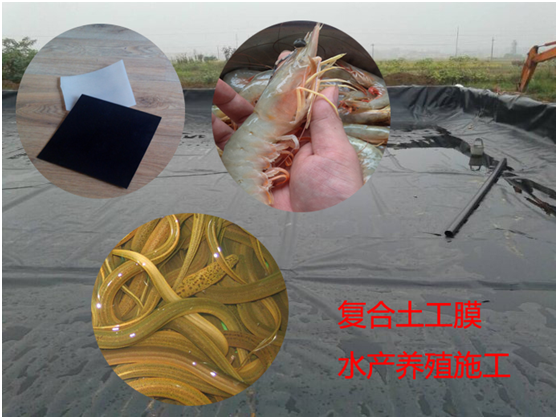 91视频直播APP膜原材料控制及采购要点