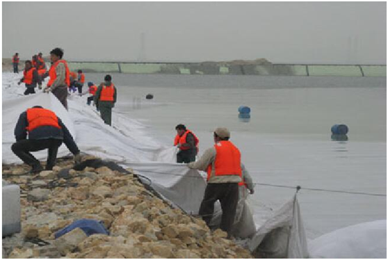 倒滤层91视频直播APP布在堤心成型后铺设关键时间