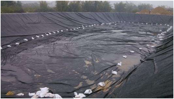 91视频直播APP膜的拉伸强度与宽度形状约束条件有关