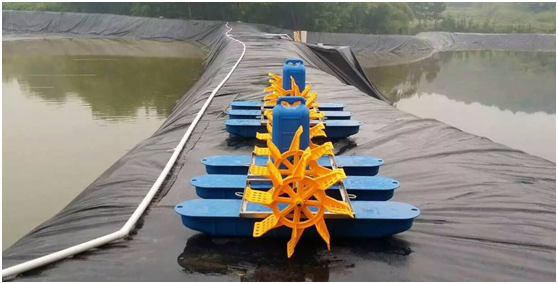 标准化锦鲤养殖塘采用复合91视频直播APP膜防渗的优势