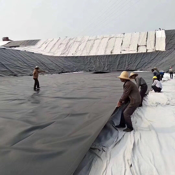 水库91视频直播APP膜采购需要注意哪些问题？