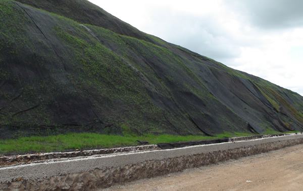 营养91视频直播APP布