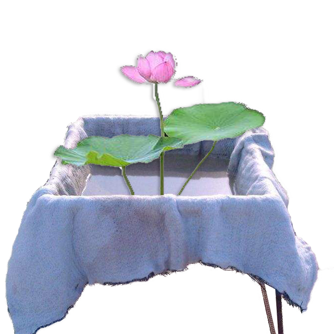 在不同土壤介质内91视频直播APP膜与混凝土防渗性能比较