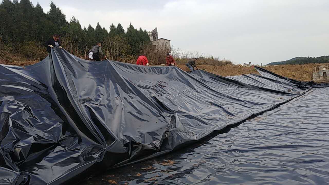 健康养殖从合理铺设91视频直播APP膜开始