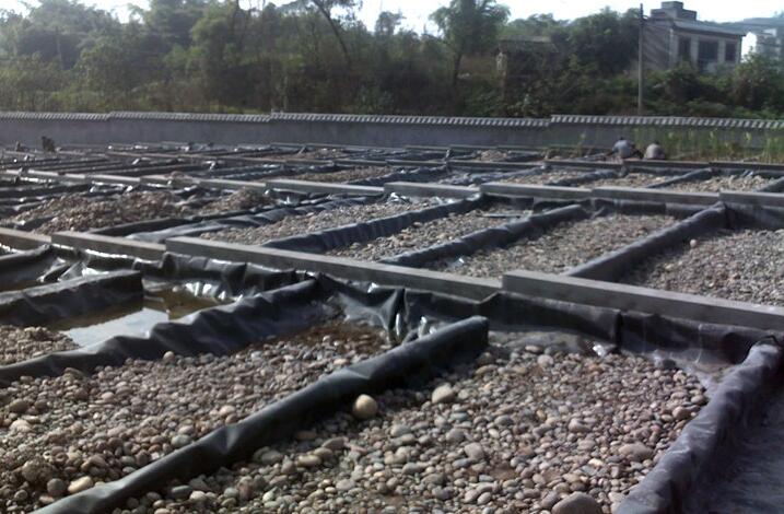 91视频直播APP膜和防水毯用于鱼塘哪个更占优势