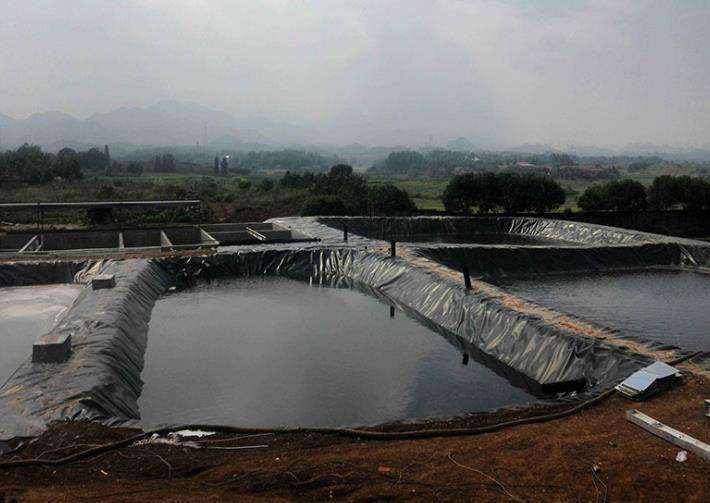 91视频网站免费厂家分析分析复合91视频直播APP膜施工质量管理