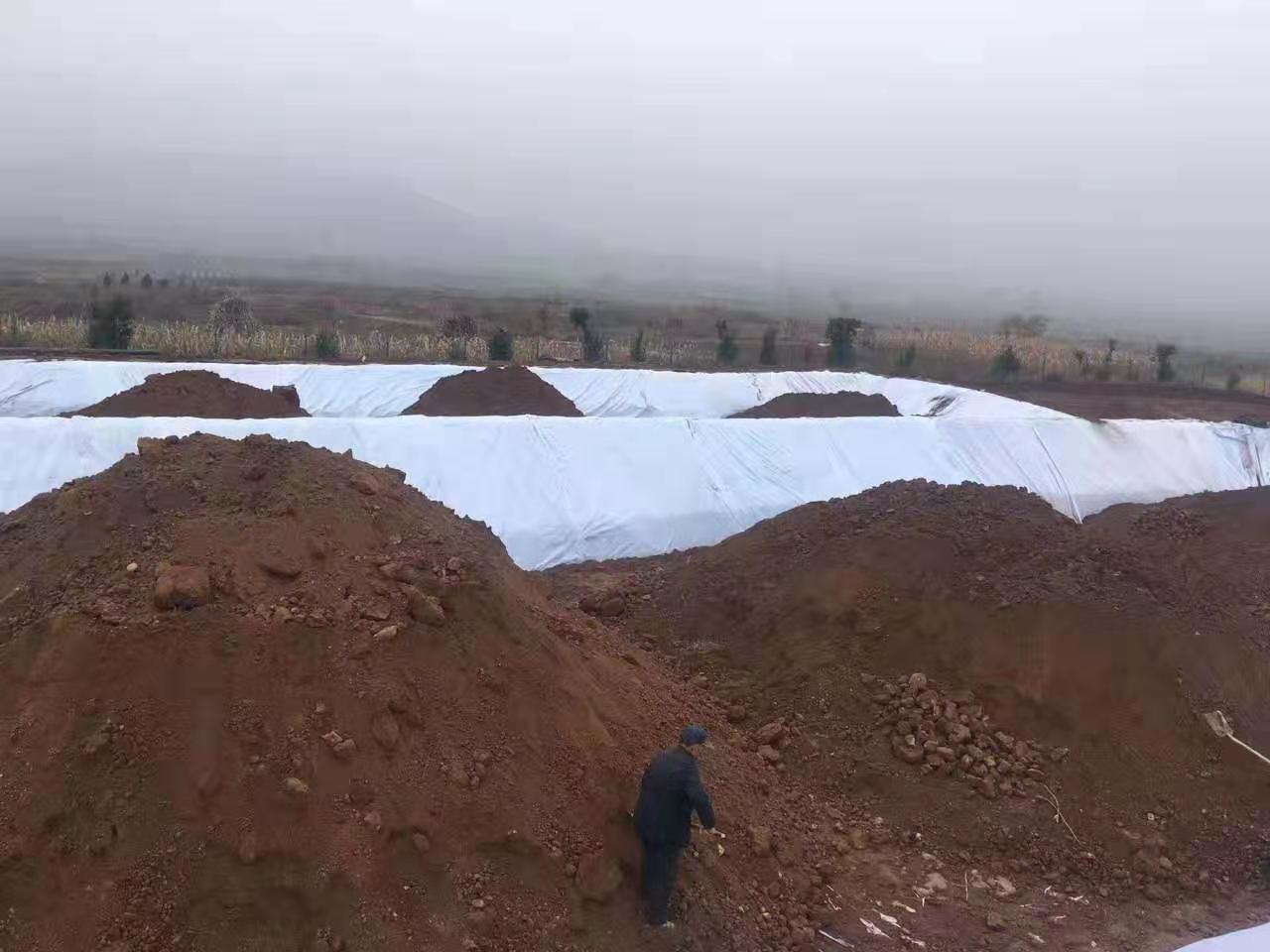 HDPE91视频直播APP膜（莲藕专用膜）的栽培模式