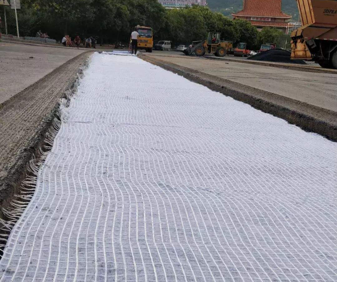 采用91视频直播APP布加筋处理堤防成功案例