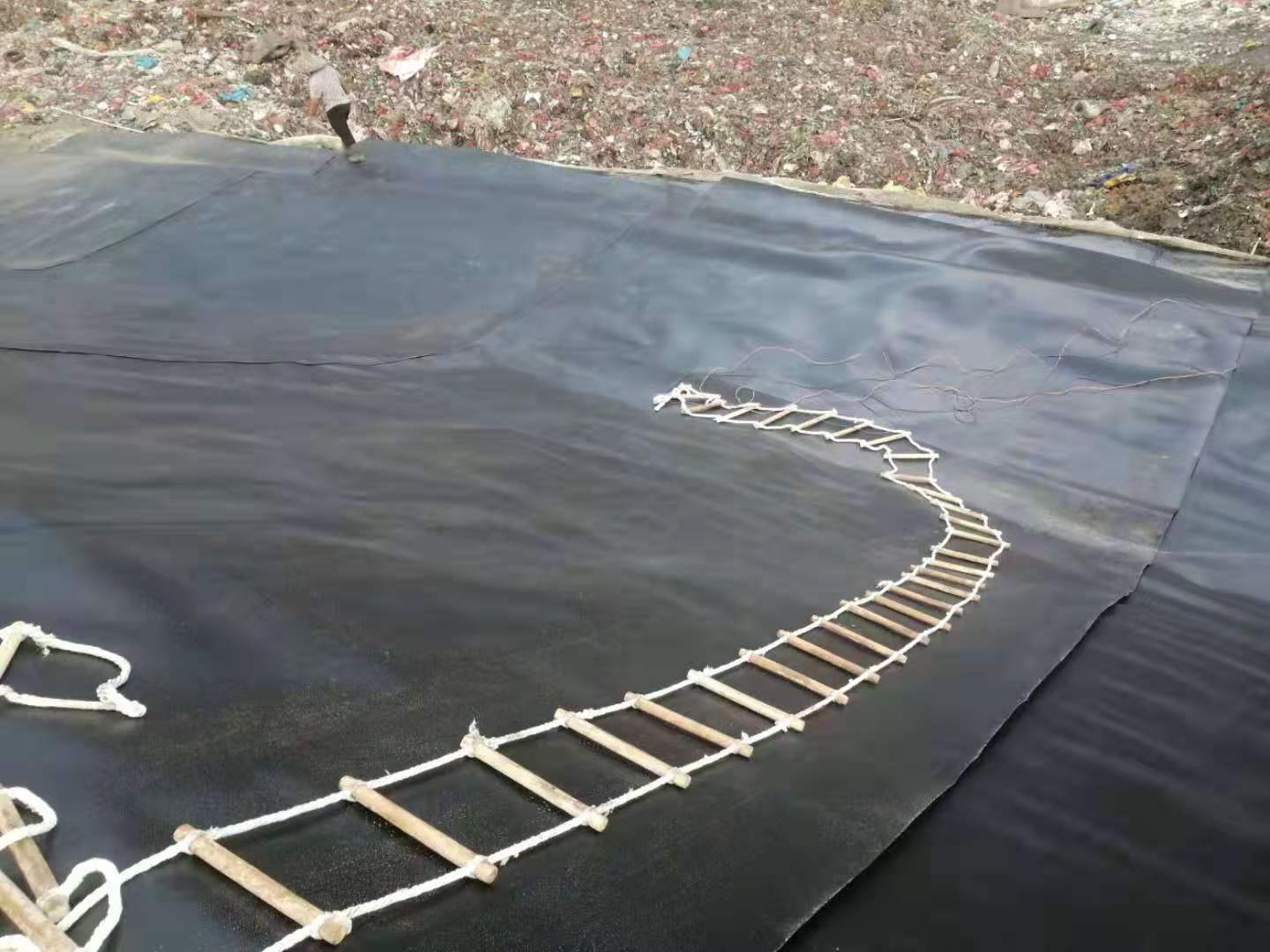 复合膜、PVC91视频直播APP膜、HDPE91视频直播APP膜性能比较