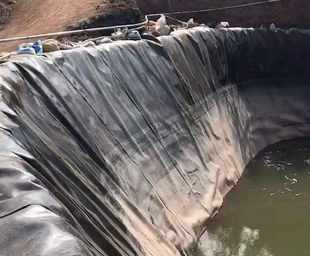 91视频直播APP膜损伤程度的直接影响是透水孔的数目的变化