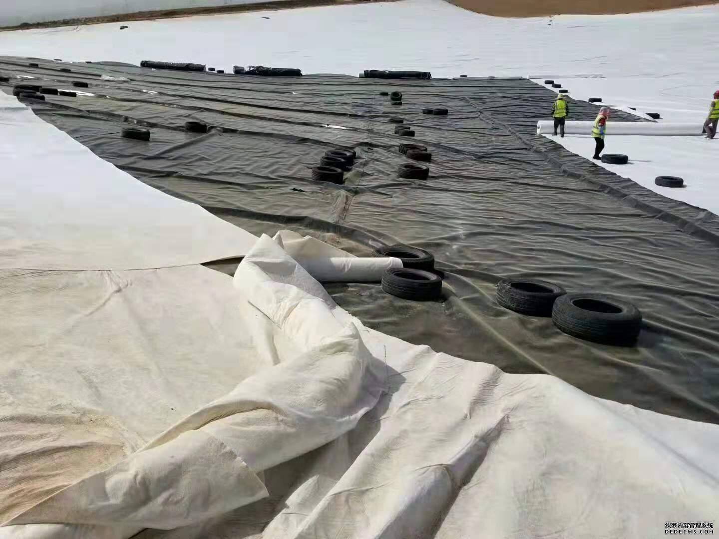 为什么91视频直播APP布能成为工程中重要的排渗材料？