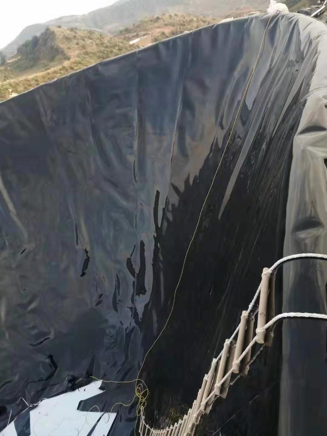 PE91视频直播APP膜现场快速技术的开发