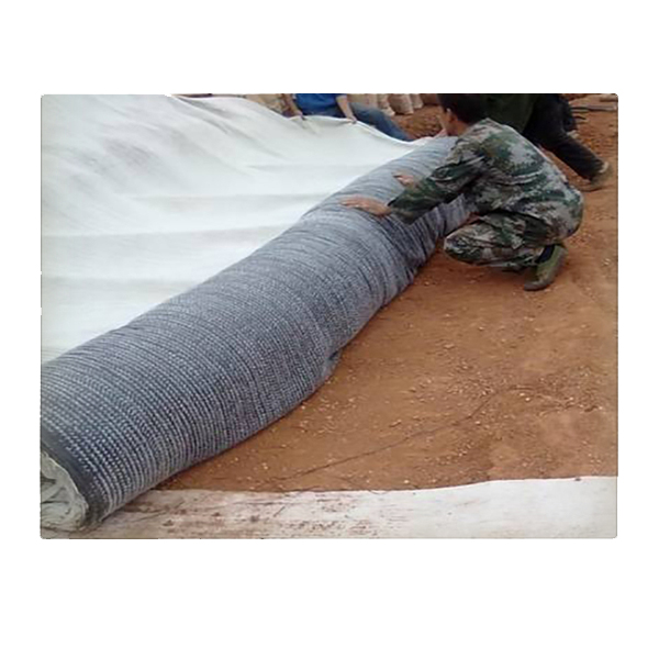 最新91视频观看创新技术对生态环境的作用