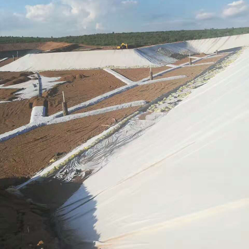 91视频直播APP合成材料在内河航道整治疏浚工程中的应用