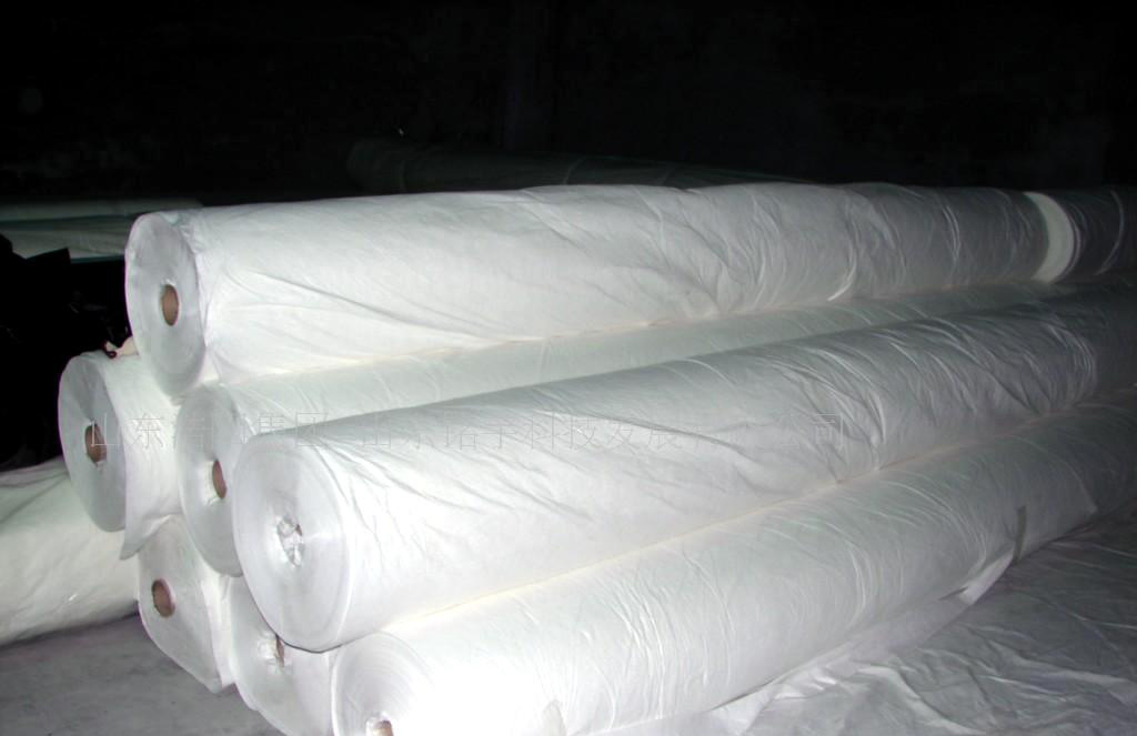 复合91视频直播APP布公路病害处理中有广泛的应用前景