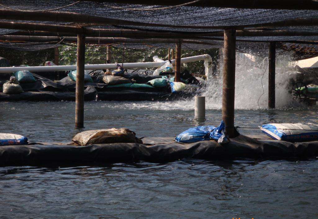 HDPE91视频直播APP膜施工质量控制关键点