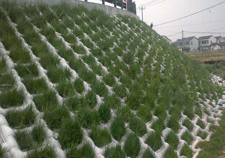 91视频直播APP模袋