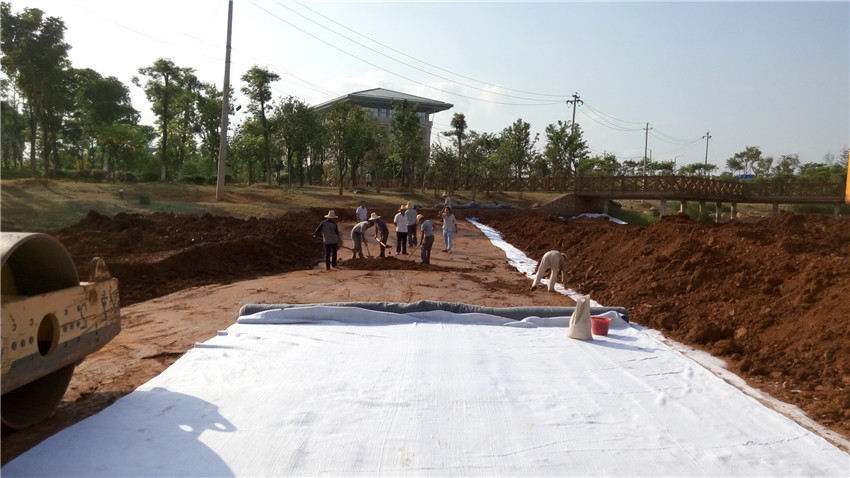 最新91视频观看在人工湖工程中的应用特点有哪些？