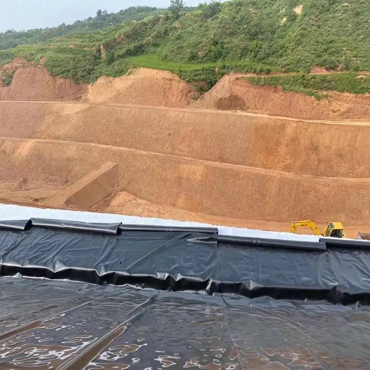 91视频直播APP膜+压实防渗黏土的复合衬垫系统小约1个数量级