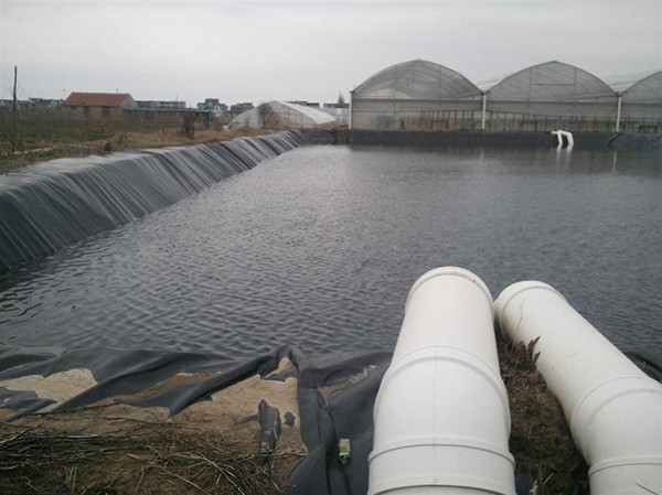 中小型水库的防渗结构大体怎样分类？