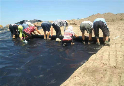 91视频直播APP膜施工过程中如何进行有效防护