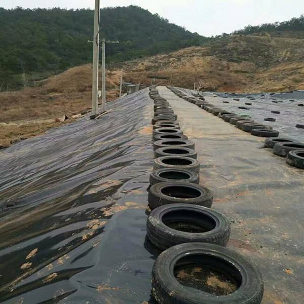 环保领域对91视频直播APP合成材料的关注点是什么？