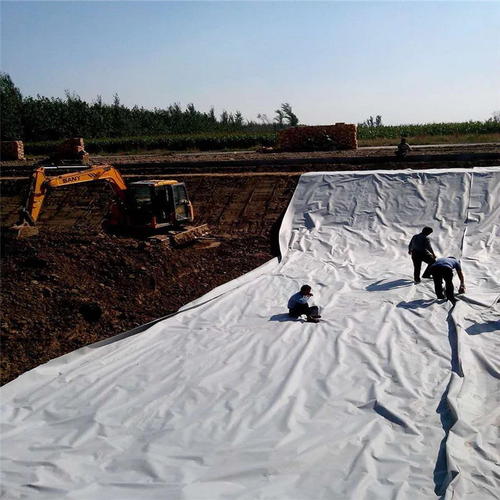 HDPE91视频直播APP膜能够在恶劣地质条件下使用