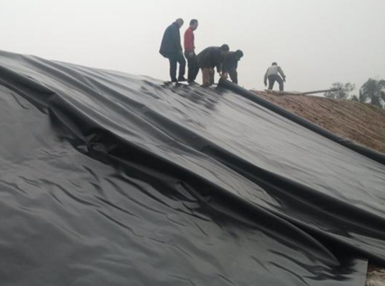 91视频直播APP膜在堤防工程、河湖治理工程等减渗治理中都得到了很好的应用