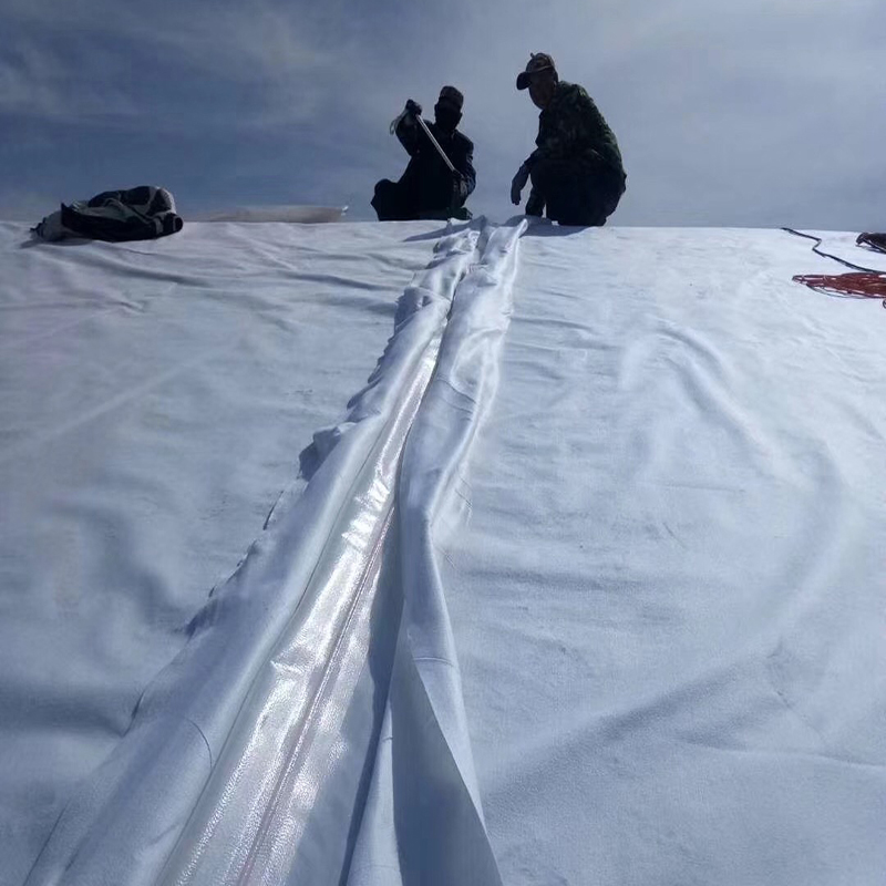 粉喷桩加91视频直播APP合成材料加固软土路基的构想