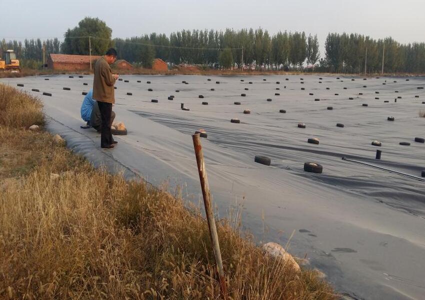 什么是hdpe防渗膜？它有什么优点？