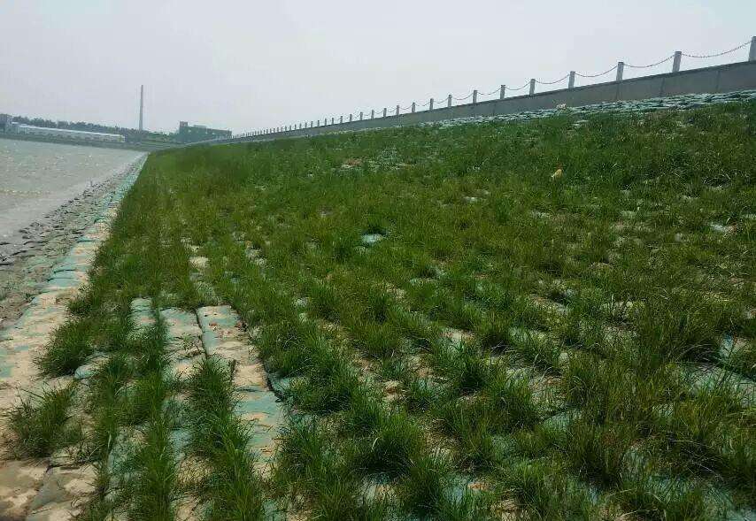 常用的海岛边坡修复技术有哪些？如何修复海岛边坡？