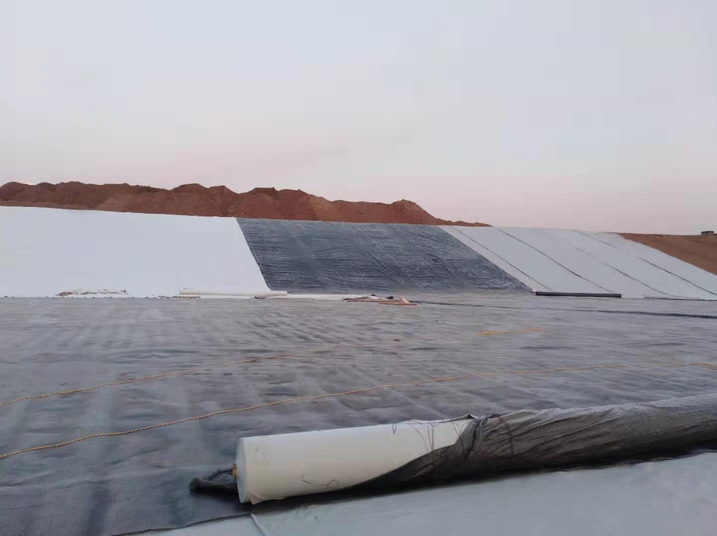 复合91视频直播APP膜与大坝防渗墙、防浪墙、大坝两侧脚趾板锚固结构情况